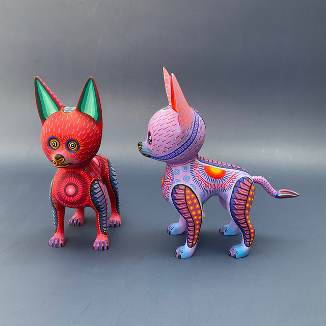 PERRO CHIHUAHUA COCO TJYMA