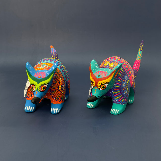 ARMADILLO MIRANDO-GSS