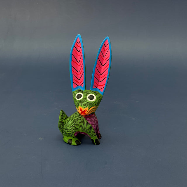 CONEJO OREJON CH RAYITAS-LDV