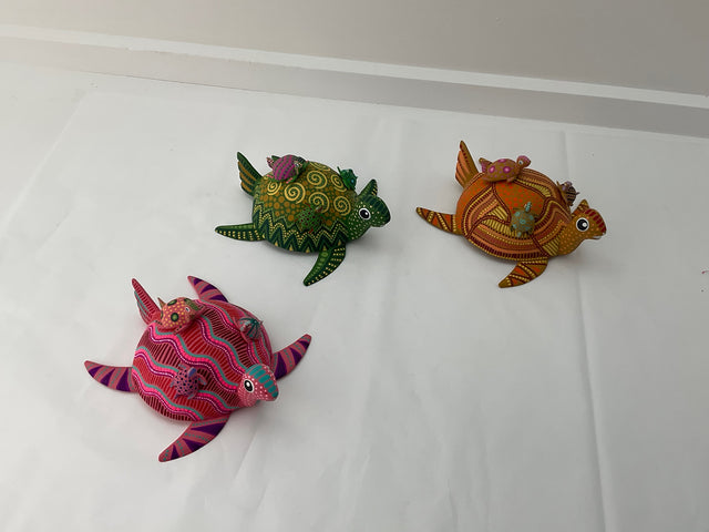 TORTUGA CON CRIA TJYMA