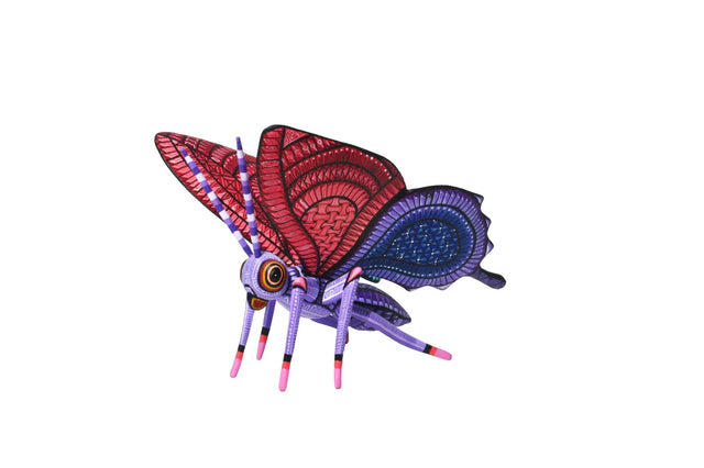 MARIPOSA #25