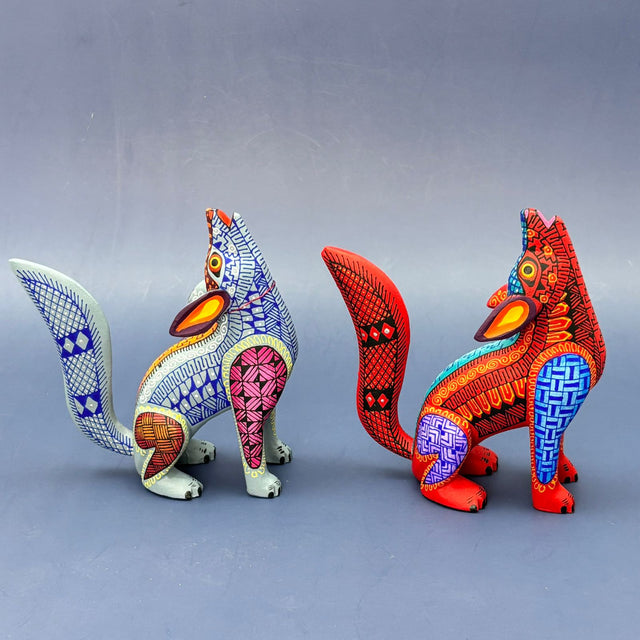 COYOTE AULLANDO CH-AMD