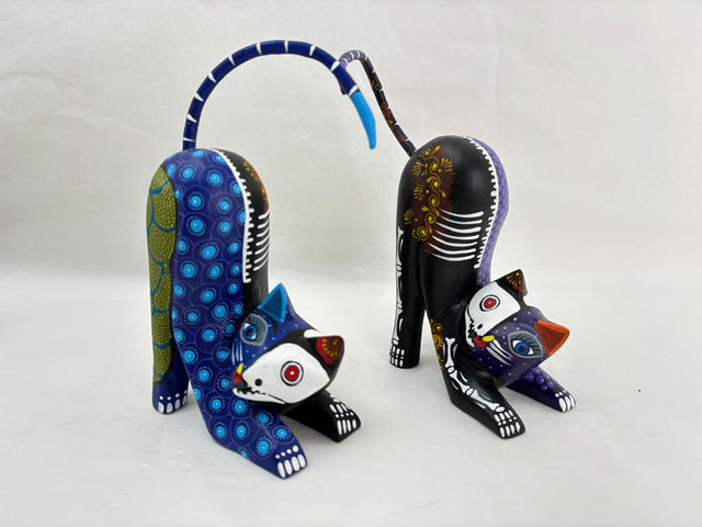 GATO HINCADO ESQUELETO-LDV