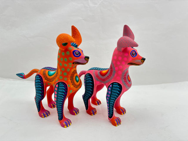 PERRO DANTE S/ALAS TJYMA