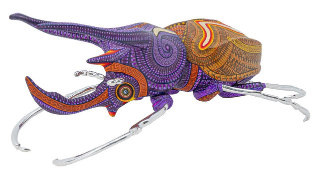 ESCARABAJO RINOCERONTE #6 PLAGA 2025