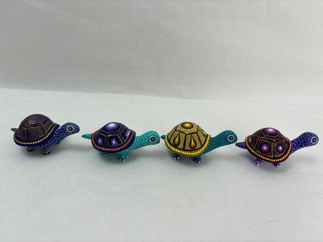 TORTUGA DE TIERRA CH-FFS