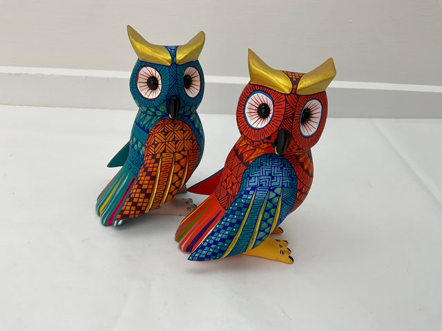 BUHO ALAS HACIA ATRAS-AMD