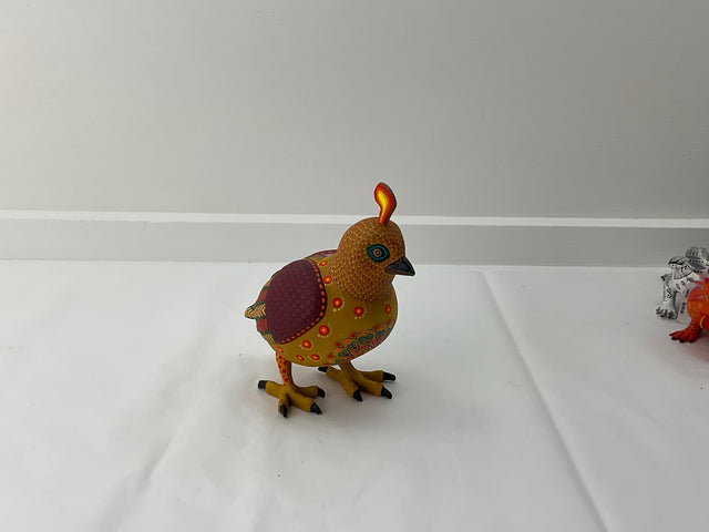 CODORNIZ CH NM TJYMA