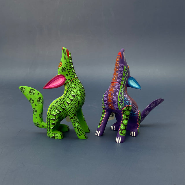 COYOTE AULLANDO CH-PMD