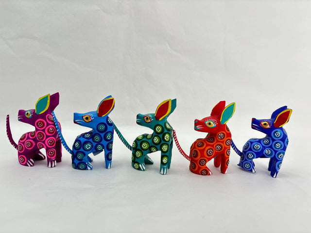 COYOTE VOLTEANDO GAB-LDV