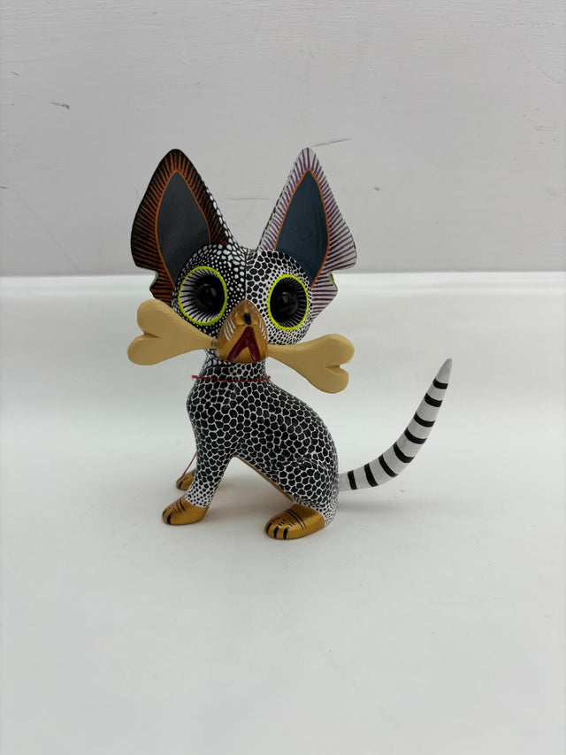 PERRO CHIHUAHUA CH-RFC