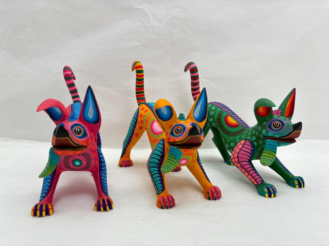 DANTE CORRIENDO TJYMA