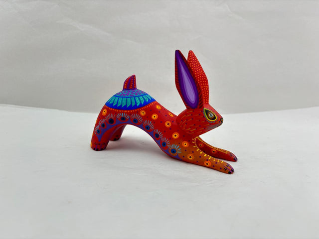 CONEJO ESTIRADO TJYMA