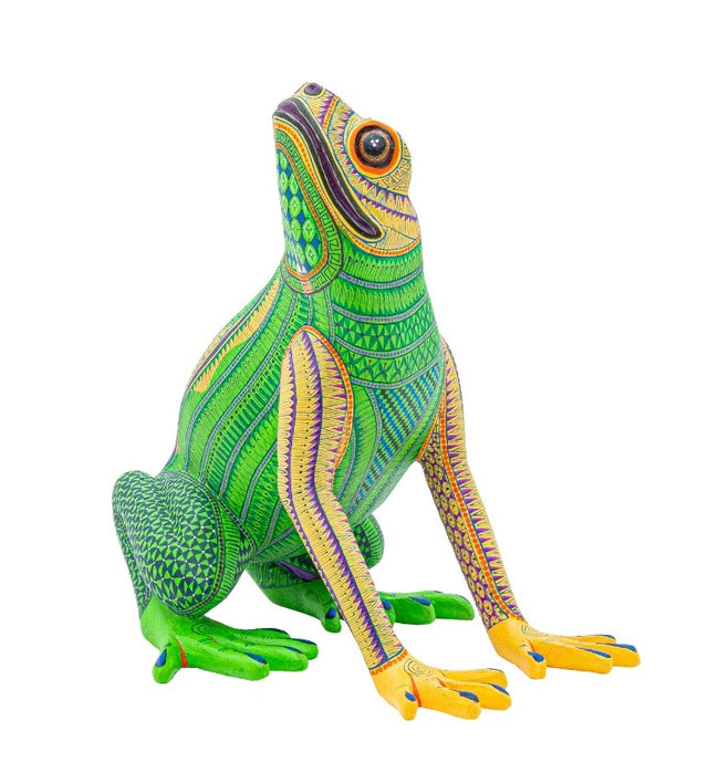 RANA 7/50 CALENDARIO 2025